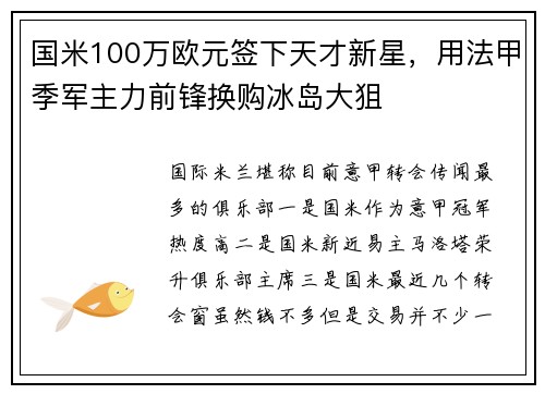 国米100万欧元签下天才新星，用法甲季军主力前锋换购冰岛大狙